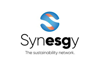 logo synesgy